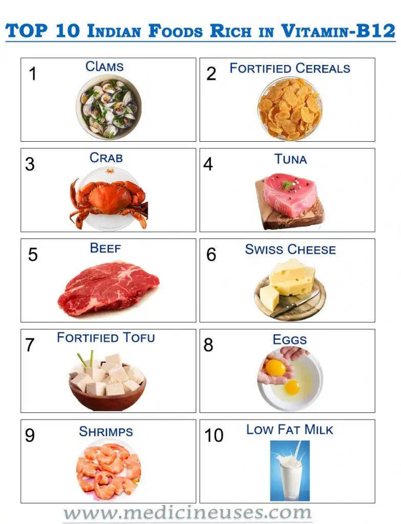Top 10 foods rich in vitamin B12 diet food