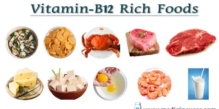 Vitamin-B12-Rich-Foods