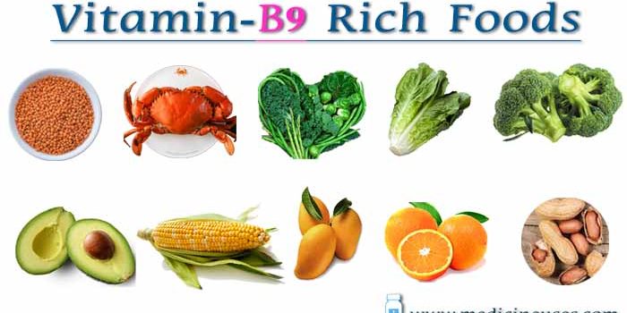 Vitamin B9 Rich Foods