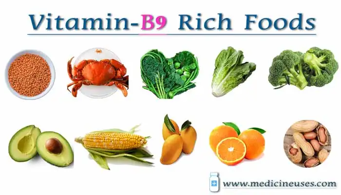 Vitamin-B9-Rich-Foods