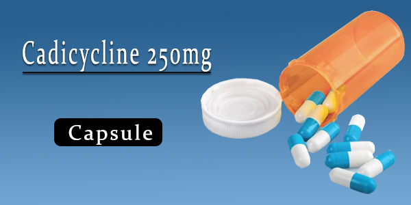 Cadicycline 250mg Capsule