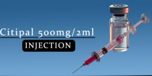 Citipal 500mg/2ml Injection